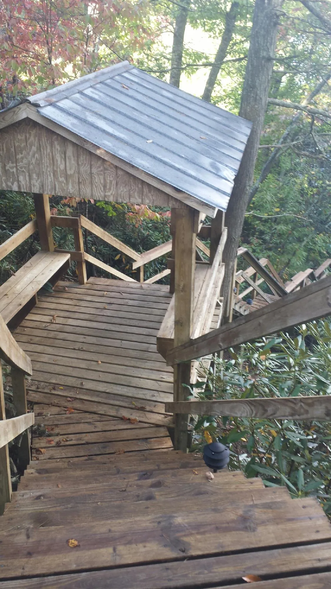Metal roofed shelter over wooden steps on a wooded walkway — Skylight Repair & Installation work by our crew in Hayfield